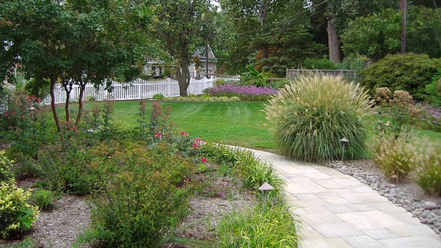 Transform Your Outdoor Oasis with Expert Landscape Maintenance