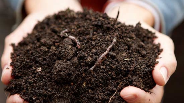 Unlocking the Secrets of Thriving Gardens: Exploring the Power of Organic Soils and Fertilizers