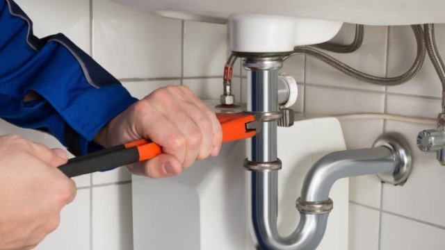 Pipe Dreams: Unveiling the Secret World of Plumbing