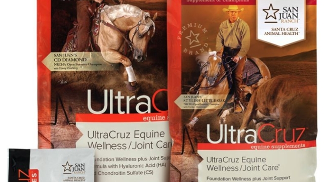 The Power of Equine Elixirs: Unleashing the Secrets of Horse Health Supplements