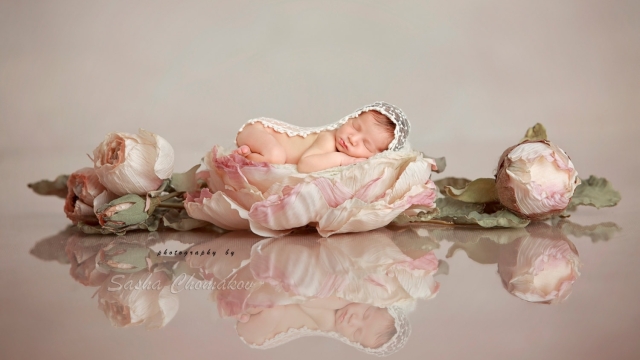 Capturing Innocence: The Art of Newborn Photography