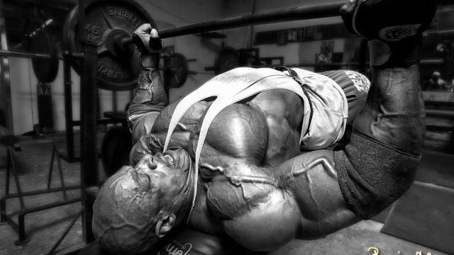 Sculpting Iron: The Art of Bodybuilding