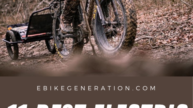 Silent Pursuit: The Rise of Hunting Electric Bikes