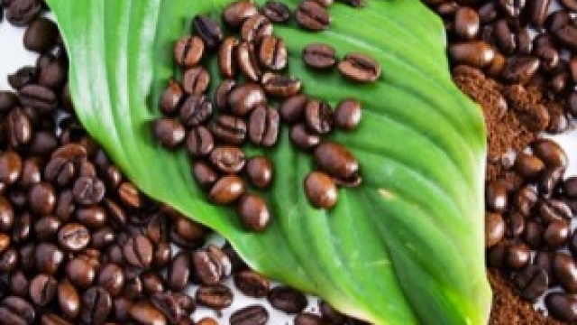 Brewing Perfection: Unlocking the Rich Flavors of Organic Coffee Beans