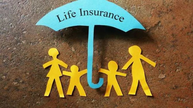 Safeguarding Your Future: The Ultimate Guide to Insurance Services