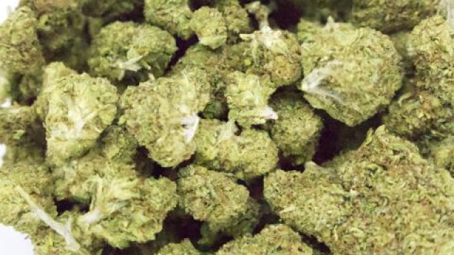 Green Oasis: Navigating the Dispensary Experience