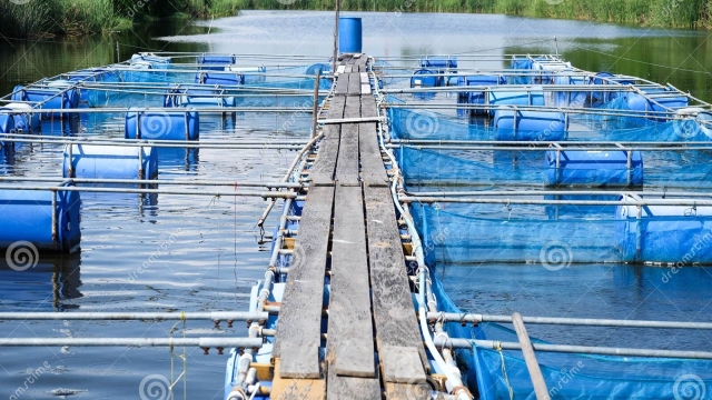 Revolutionizing the Waters: The Future of Aquaculture Technology