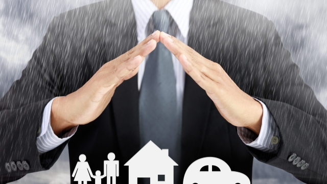 Safeguarding Success: The Essential Guide to Company Insurance