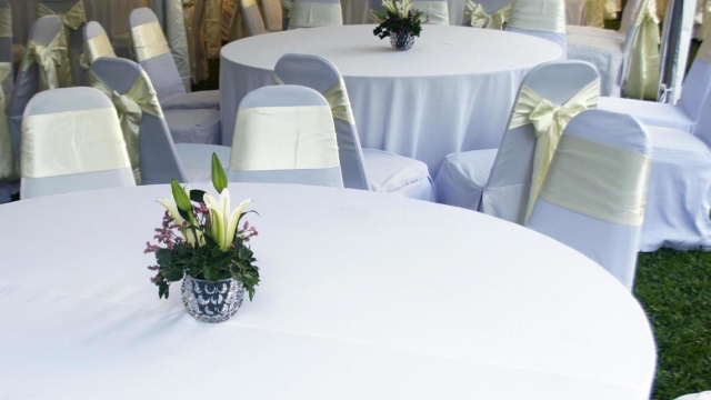 Unforgettable Gatherings: The Ultimate Guide to Party and Event Rentals